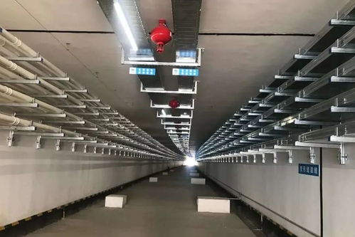 回來(lái)干活,我們一定會(huì) 罩 顧好你